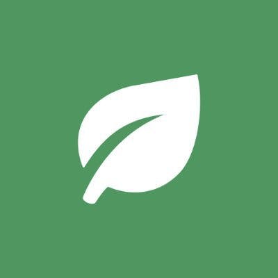 Rainforest logo